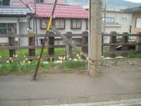  dscf0153.jpg 