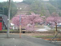  dscf0154.jpg 