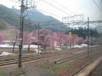  dscf0155.jpg 