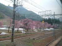  dscf0156.jpg 