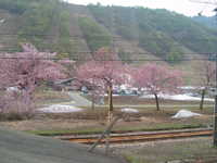  dscf0157.jpg 