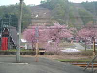  dscf0158.jpg 