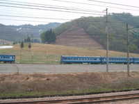 dscf0164.jpg 