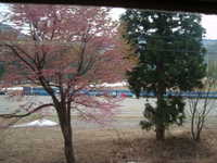  dscf0172.jpg 