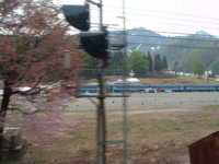  dscf0173.jpg 