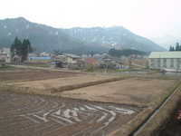  dscf0175.jpg 