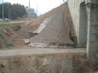  dscf0178.jpg 