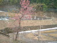  dscf0183.jpg 