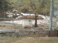  dscf0184.jpg 