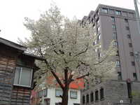  dscf0189.jpg 