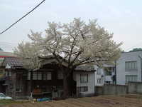  dscf0190.jpg 