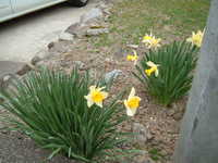  dscf0191.jpg 