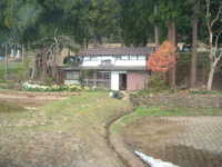  dscf0203.jpg 