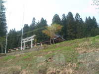 dscf0206.jpg 