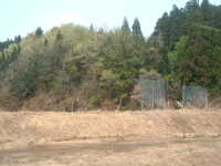  dscf0209.jpg 