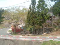  dscf0210.jpg 