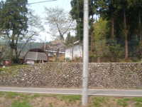  dscf0211.jpg 