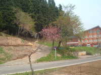  dscf0212.jpg 
