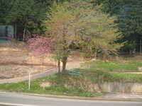  dscf0213.jpg 