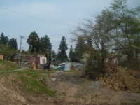  dscf0219.jpg 