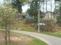  dscf0221.jpg 