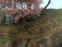  dscf0222.jpg 