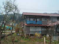  dscf0230.jpg 
