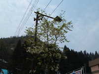  dscf0234.jpg 
