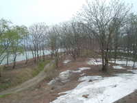  dscf0247.jpg 