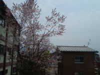  dscf0251.jpg 