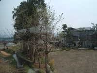  dscf0252.jpg 