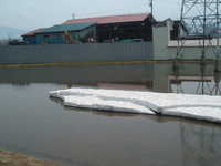  dscf0254.jpg 