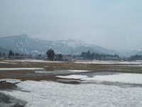  dscf0259.jpg 