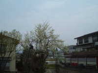  dscf0265.jpg 