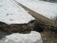  dscf0267.jpg 