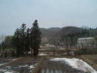  dscf0269.jpg 