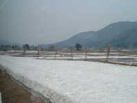  dscf0282.jpg 