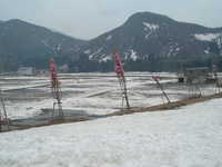  dscf0283.jpg 