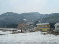  dscf0290.jpg 