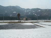  dscf0292.jpg 