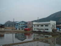  dscf0296.jpg 