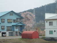  dscf0297.jpg 