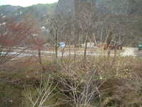  dscf0302.jpg 