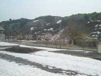  dscf0303.jpg 