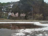  dscf0304.jpg 