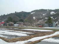  dscf0306.jpg 