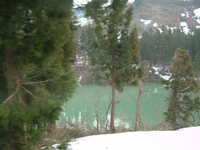  dscf0310.jpg 