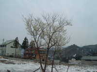  dscf0318.jpg 