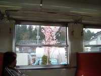  dscf0322.jpg 