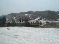  dscf0333.jpg 